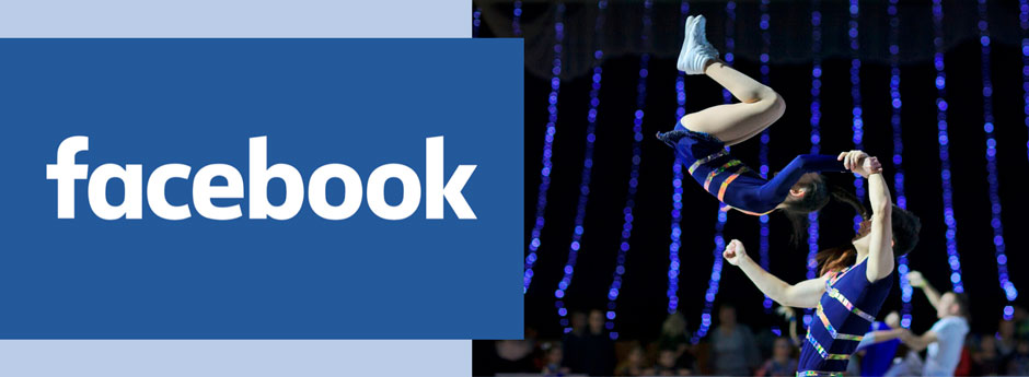 fb-link